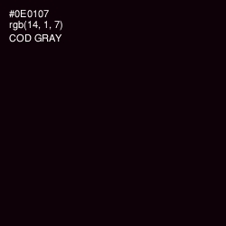 #0E0107 - Cod Gray Color Image